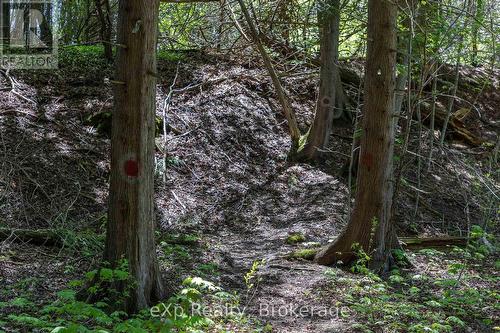 157659 7Th Line, Meaford, ON 