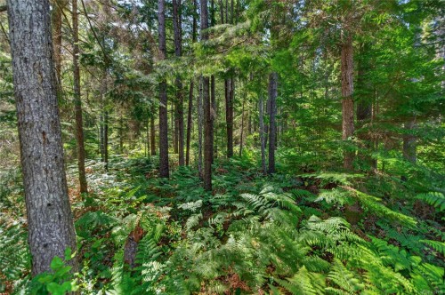 657 Sierra Pines Rd, Comox, BC 