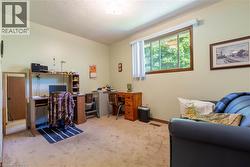 Carpeted room featuring light-toned walls, a single window with wood-finish framing, and a ceiling-mounted light fixture - 