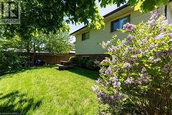 Expansive grassy backyard featuring a flowering shrub, mature trees, and a privacy fence - 