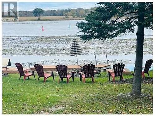 100 O'Reilly Lane, Kawartha Lakes, ON - Outdoor With View