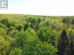 CON 13, PT LOT 21, PART 1 GOLF COURSE ROAD Chisholm, ON P0H 1Z0