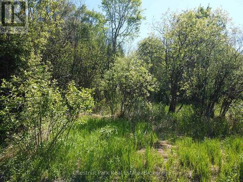 Con 13, Pt Lot 21, Part 1 Golf Course Road, Chisholm, ON 