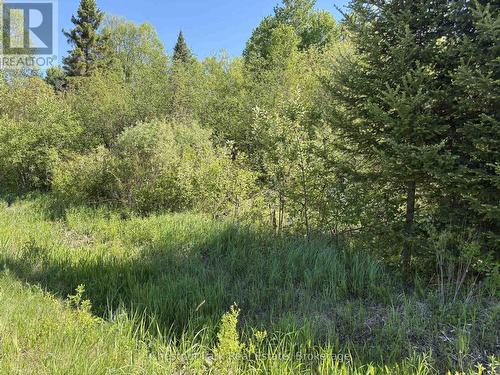 Con 13, Pt Lot 21, Part 1 Golf Course Road, Chisholm, ON 