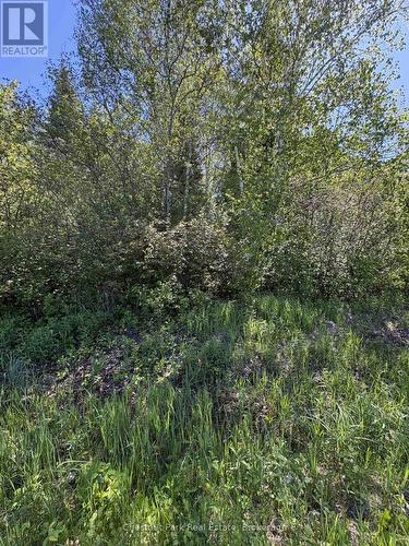 Con 13, Pt Lot 21, Part 1 Golf Course Road, Chisholm, ON 