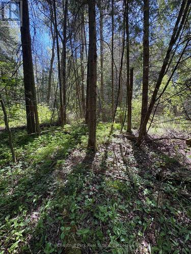 Con 13, Pt Lot 21, Part 1 Golf Course Road, Chisholm, ON 