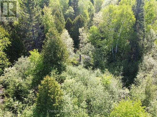 Con 13, Pt Lot 21, Part 1 Golf Course Road, Chisholm, ON 