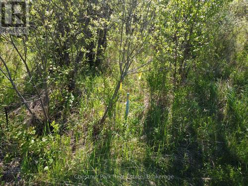 Property Stakes - Con 13, Pt Lot 21, Part 1 Golf Course Road, Chisholm, ON 