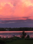 View - 