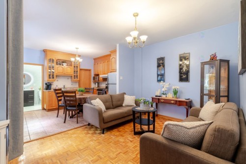 Salon - 4377  - 4381 Rue Chapleau, Montréal (Le Plateau-Mont-Royal), QC - Indoor Photo Showing Living Room