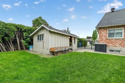 Shed - 