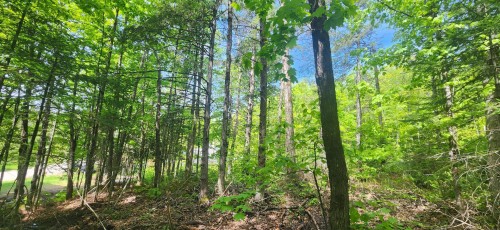 View - Rg St-François, Saint-Jean-De-Matha, QC 