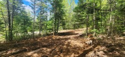 View - 
