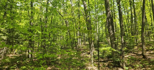 Vue - Rg St-François, Saint-Jean-De-Matha, QC 