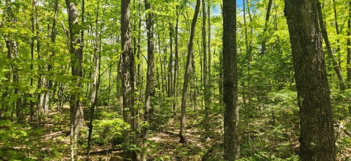 Vue - Rg St-François, Saint-Jean-De-Matha, QC 