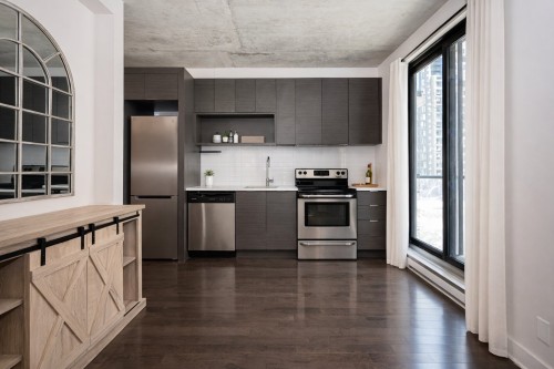 301-185 Rue du Séminaire  Montréal (Le Sud-Ouest), QC H3C 2A3