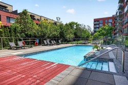Pool - 