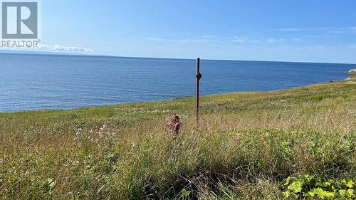 0 Oceanview Drive, Cape St George, NL 