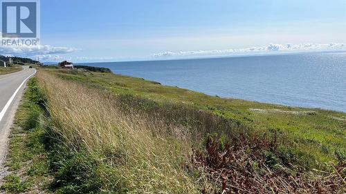 0 Oceanview Drive, Cape St George, NL 