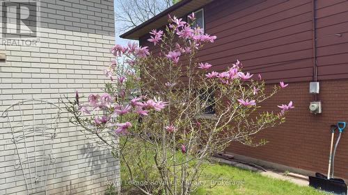 55 Lonsdale Drive, Guelph (Riverside Park), ON - Outdoor