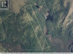 LT 11 CON 16 HOLLAND LAKE ROAD Bancroft, ON K0L 1C0