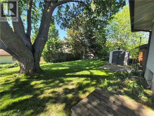 Spacious backyard featuring a substantial tree, a separate storage shed, a concrete patio area, and a wooden deck platform - 11 Duncairn Avenue, Kitchener, ON 