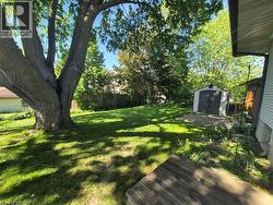 Spacious backyard featuring a substantial tree, a separate storage shed, a concrete patio area, and a wooden deck platform - 