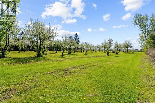 2263 Hwy 2, Clarington, ON - Outdoor With View