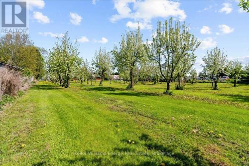 2263 Hwy 2, Clarington, ON - Outdoor With View