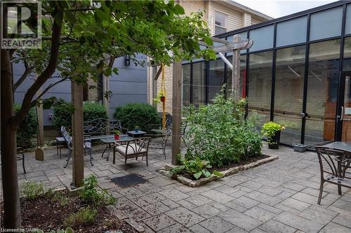 Paved patio area featuring an overhead pergola with mature greenery, a built-in garden bed, and a glass-enclosed structure - 365 Colborne Street, Brantford, ON 