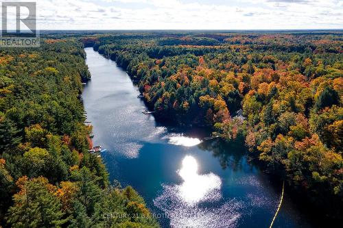 22 - 1213 Camp Jackson Road, Muskoka Lakes, ON - Outdoor With View