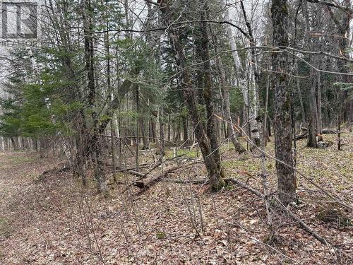 0 Ahmic Lake Road, Magnetawan (Spence), ON 