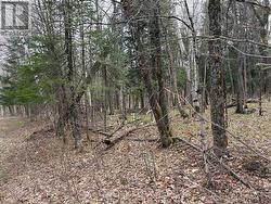 0 AHMIC LAKE ROAD Magnetawan (Spence), ON P0A 1P0