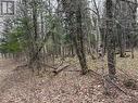 0 Ahmic Lake Road, Magnetawan (Spence), ON 