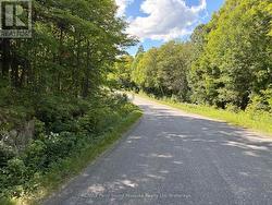 0 AHMIC LAKE ROAD Magnetawan (Spence), ON P0A 1P0