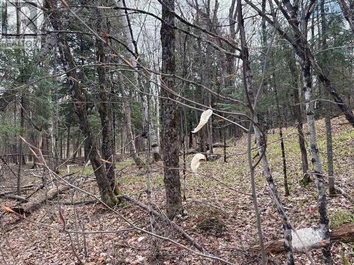 0 Ahmic Lake Road, Magnetawan (Spence), ON 