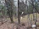 0 Ahmic Lake Road, Magnetawan (Spence), ON 