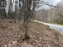 0 Ahmic Lake Road, Magnetawan (Spence), ON 