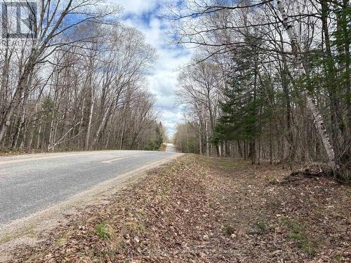 0 Ahmic Lake Road, Magnetawan (Spence), ON 