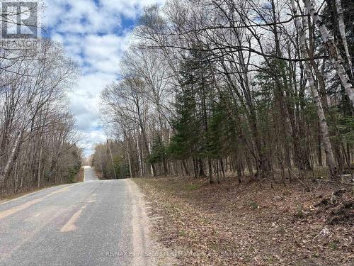 0 Ahmic Lake Road, Magnetawan (Spence), ON 