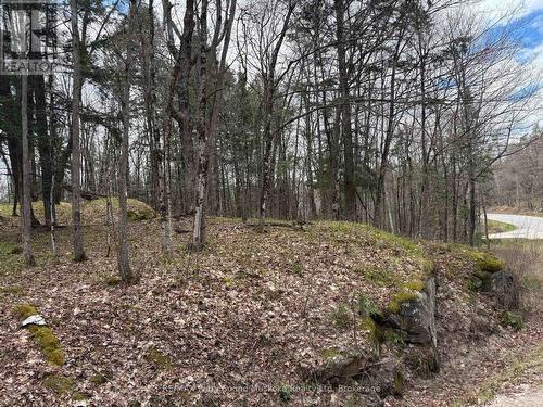 0 Ahmic Lake Road, Magnetawan (Spence), ON 