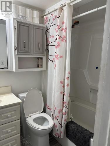 249 John St, Sault Ste. Marie, ON - Indoor Photo Showing Bathroom