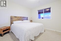 Lower Level Bedroom #2 - 