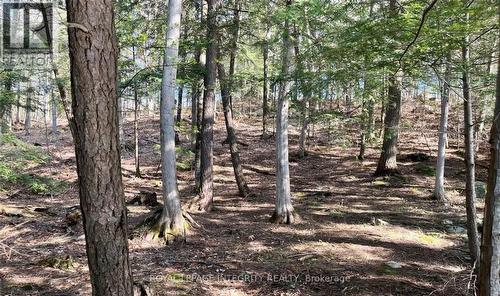 131 Shady Maple Road, Mcnab/Braeside, ON 