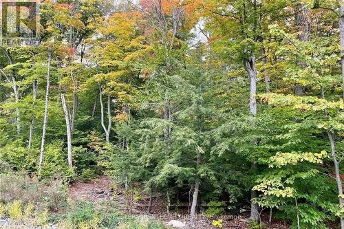 131 Shady Maple Road, Mcnab/Braeside, ON 