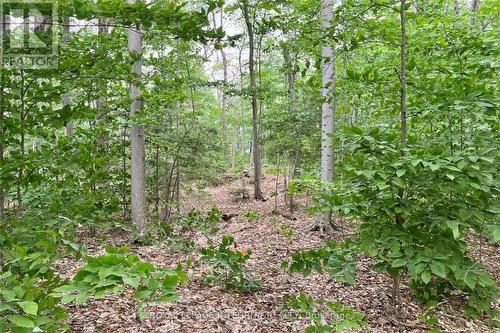 131 Shady Maple Road, Mcnab/Braeside, ON 