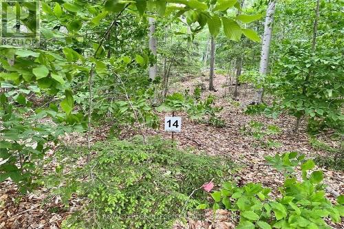 131 Shady Maple Road, Mcnab/Braeside, ON 