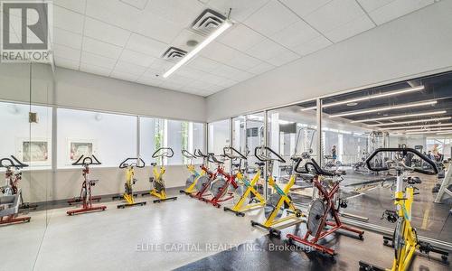 1008 - 10 Navy Wharf Court, Toronto, ON - Indoor Photo Showing Gym Room