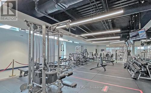 1008 - 10 Navy Wharf Court, Toronto, ON - Indoor Photo Showing Gym Room