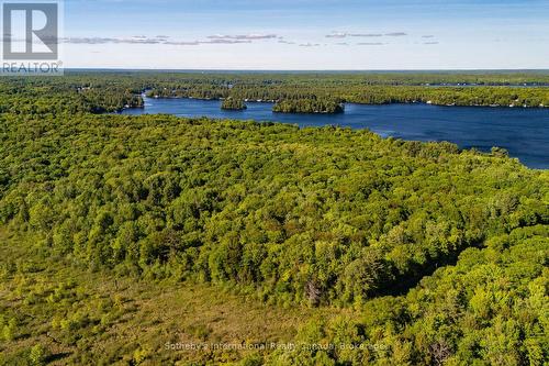 0 Dudley Road, Muskoka Lakes (Medora), ON 